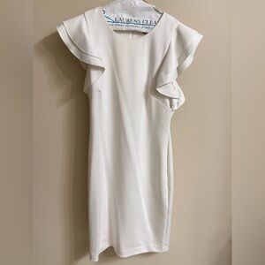 Elegant White Ruffle Sleeve Dress